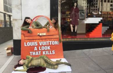 PETA ad exposing cruelty behind crocodile skin bags
